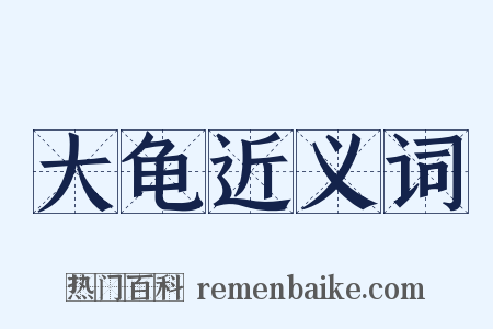 大龟近义词是什么意思的图片
